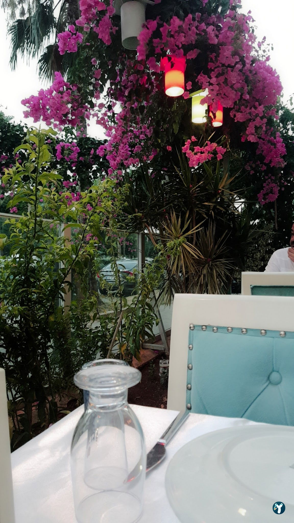 Orfoz Balık Restaurant