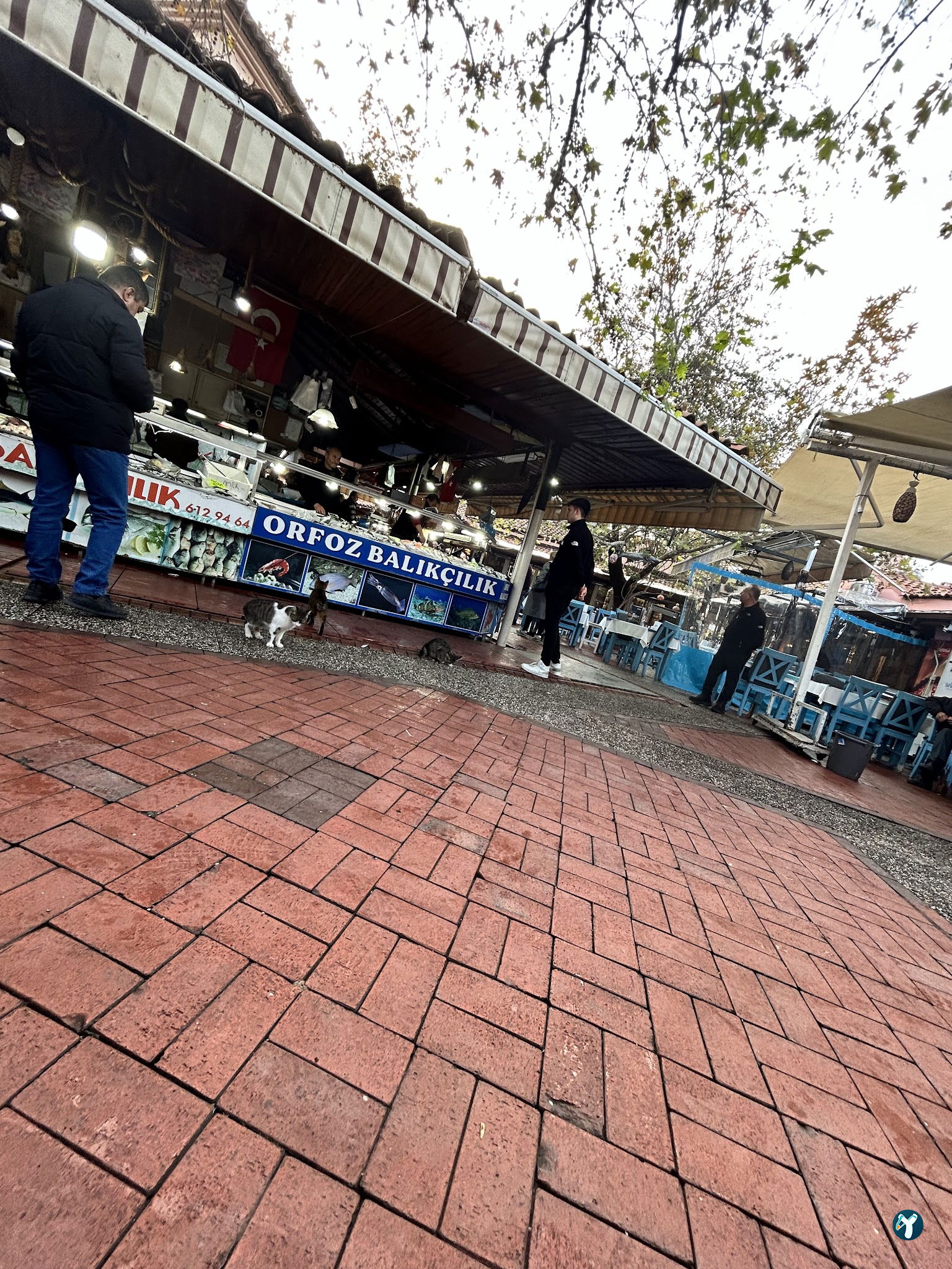 Orfoz Balık Restaurant