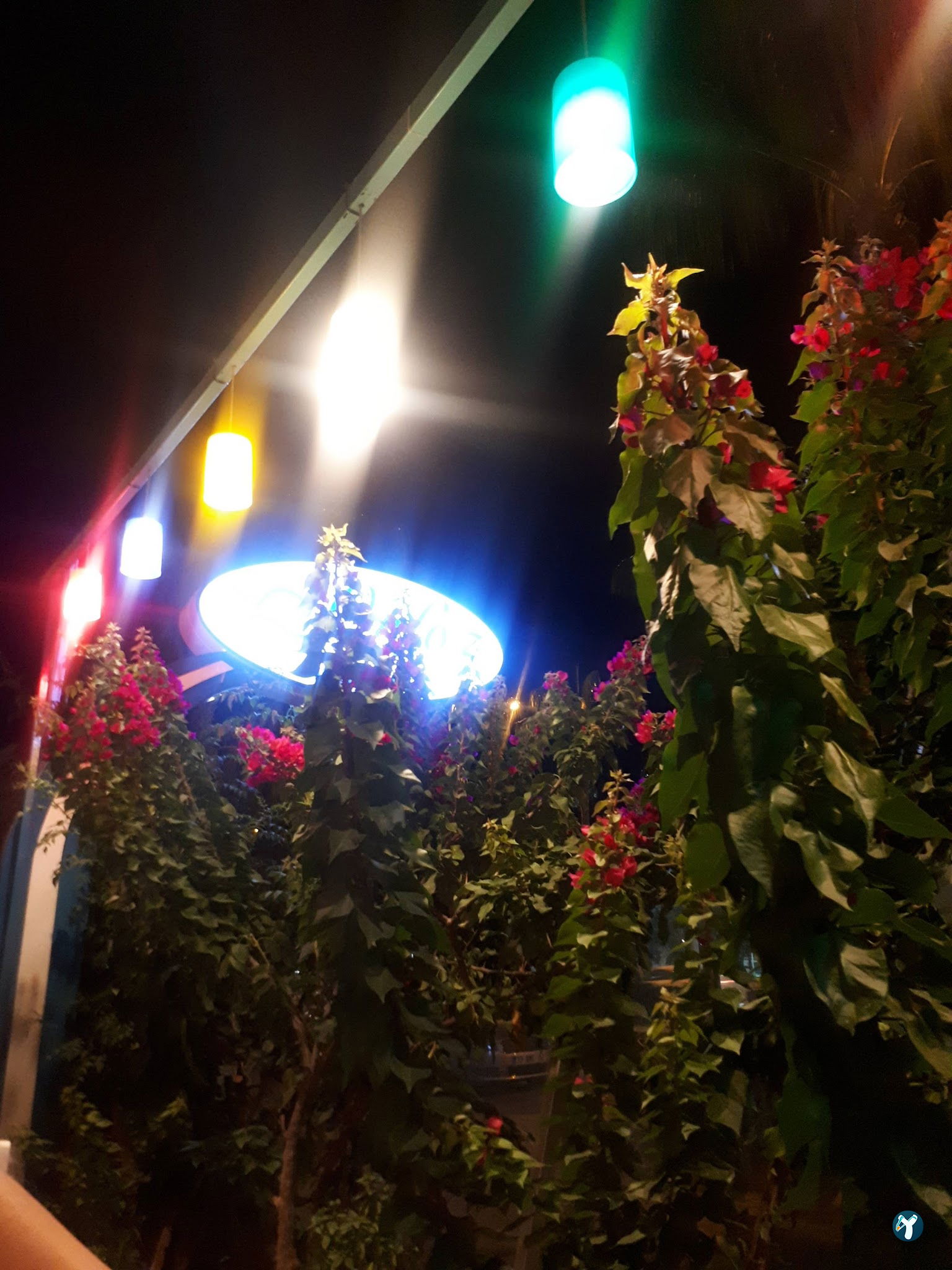 Orfoz Balık Restaurant