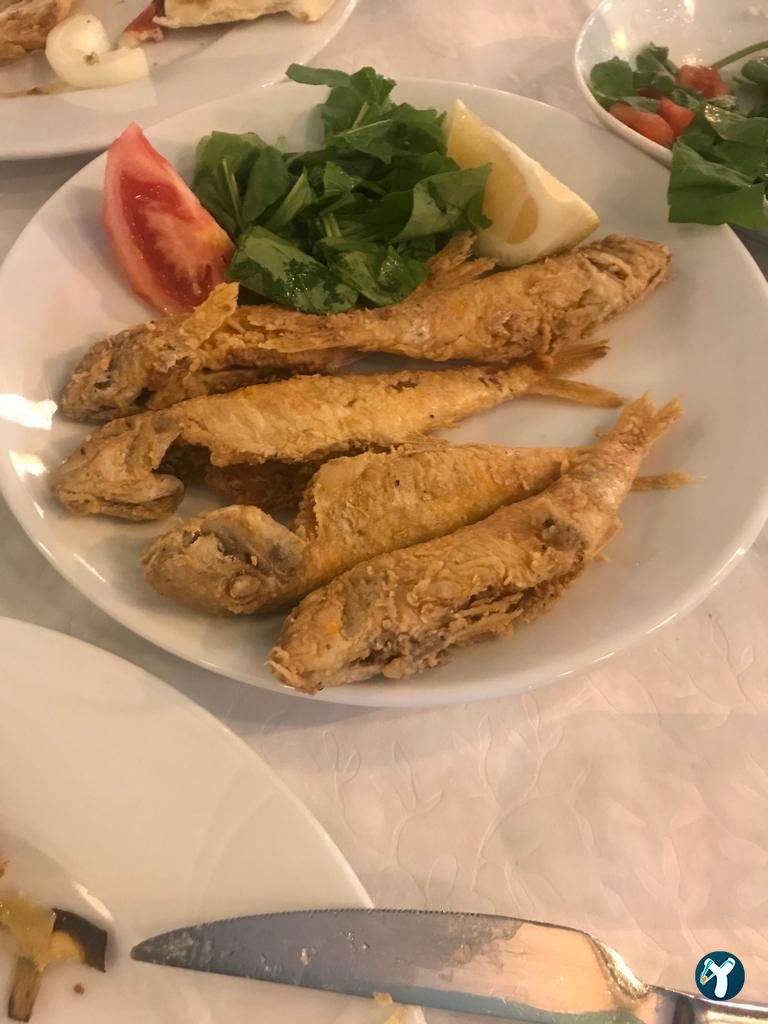 Orfoz Balık Restaurant