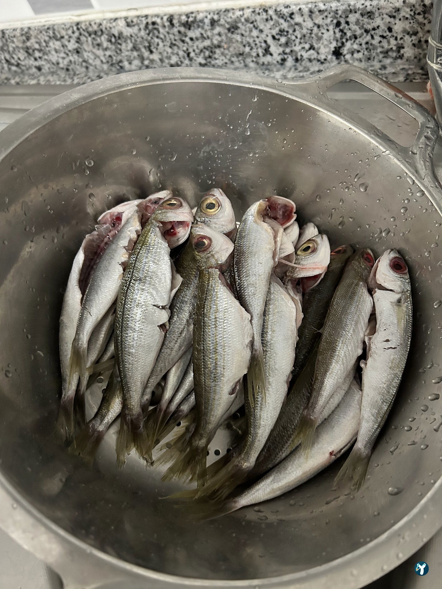 Orfoz Balık Restaurant