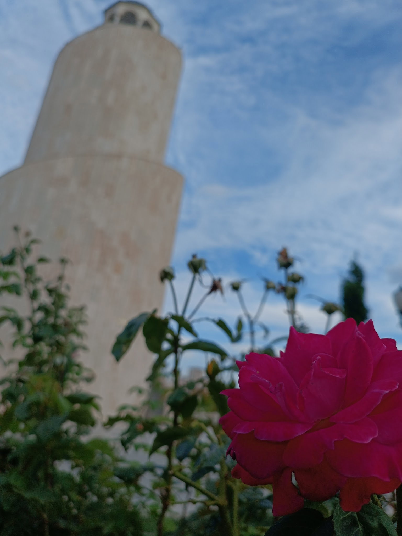 Mihman Cafe & Pastane