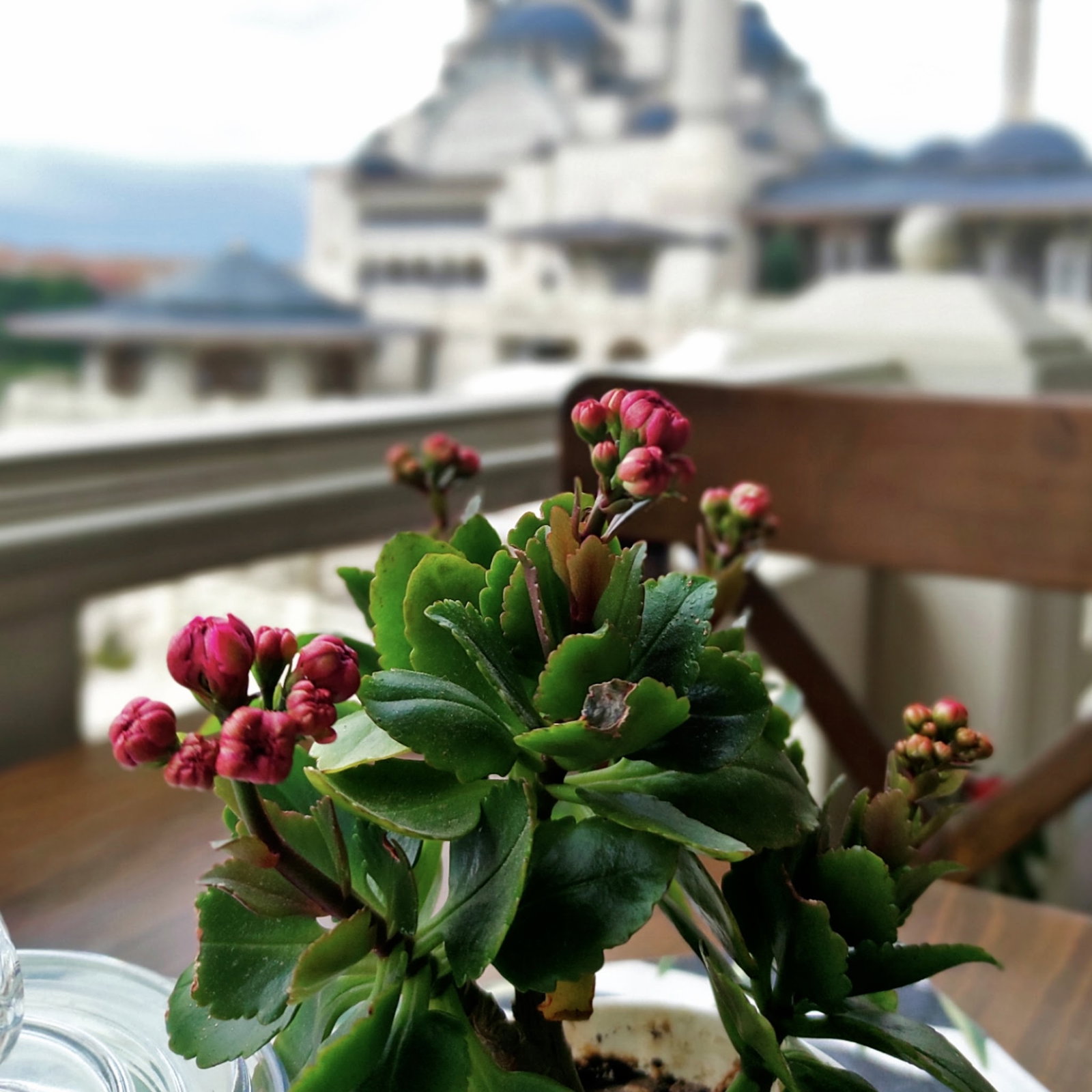 Mihman Cafe & Pastane