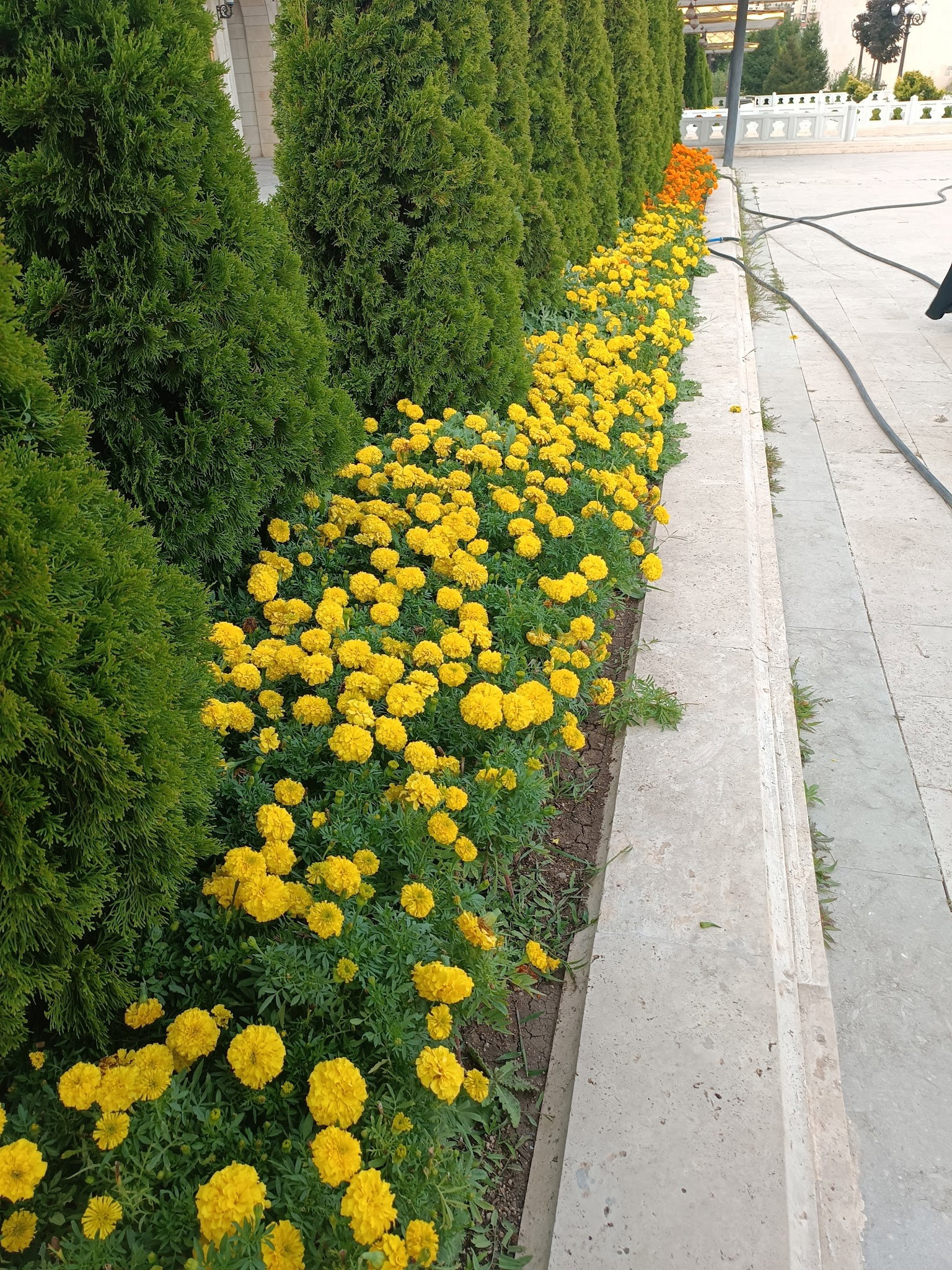 Mihman Cafe & Pastane