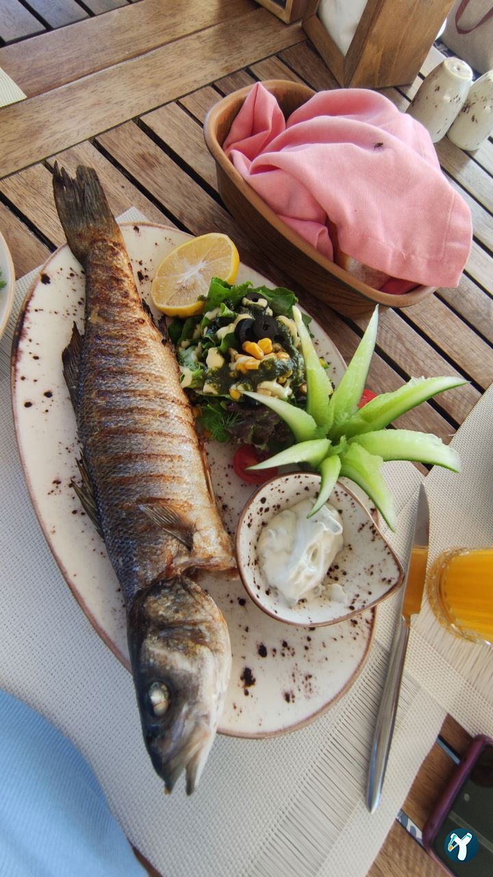 Marco Terrace Restaurant