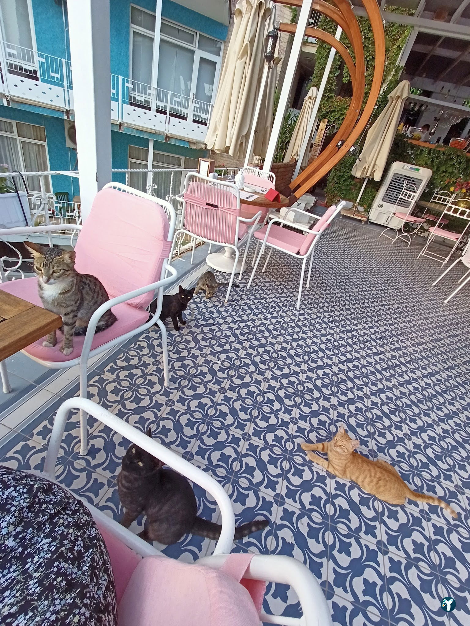 Marco Terrace Restaurant