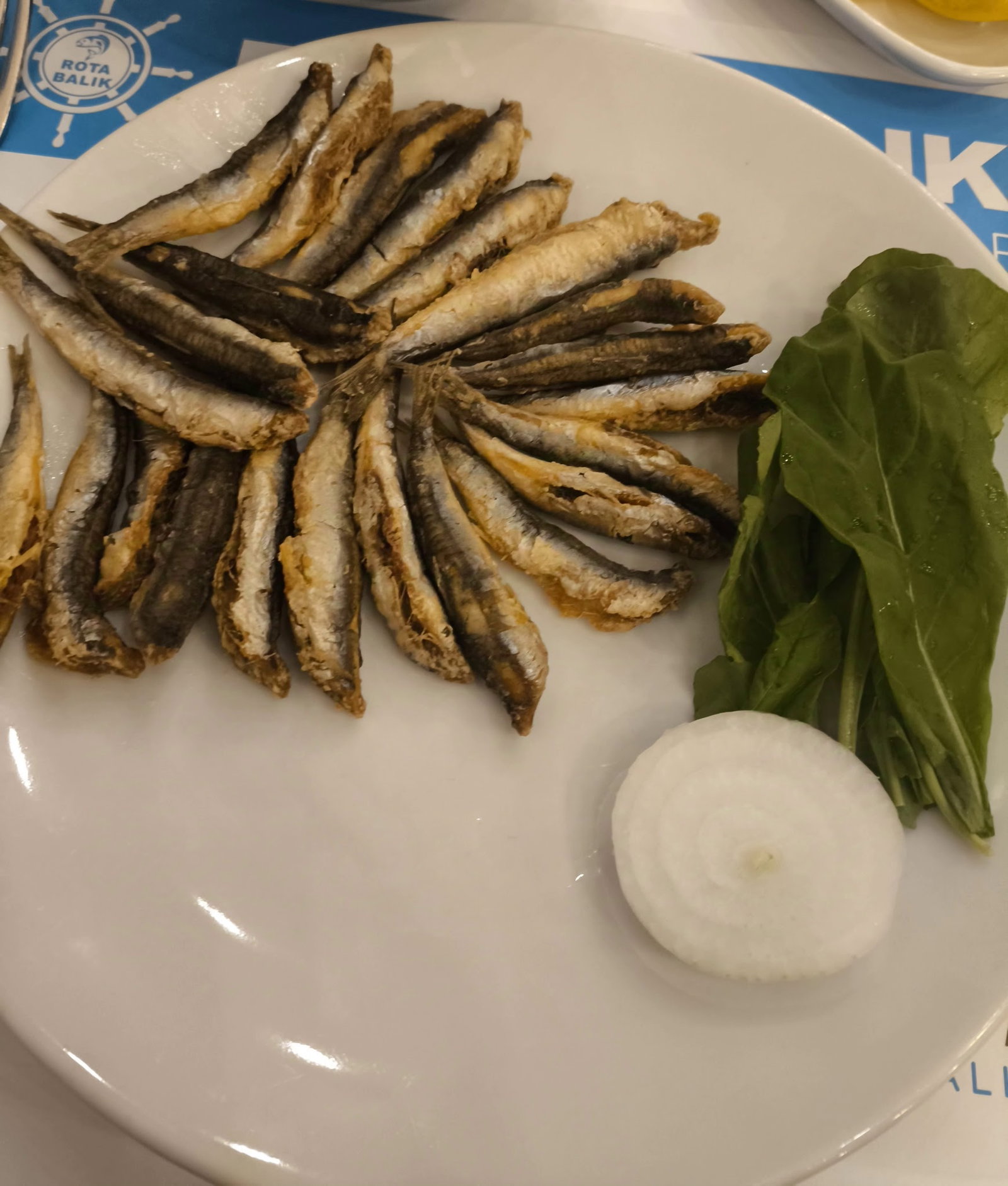 Rota Balık Ümraniye