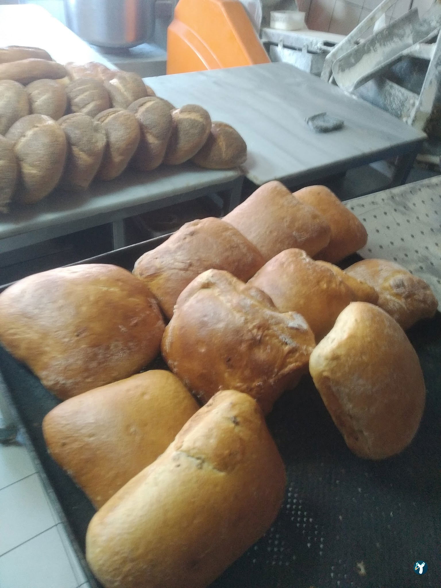 Göze Sarıyer Pastanesi