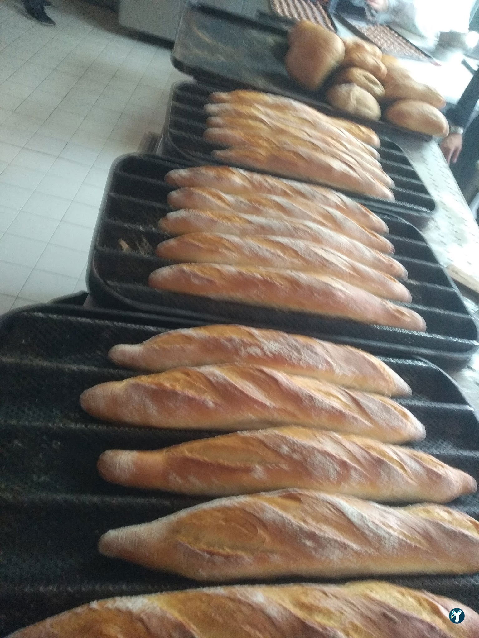 Göze Sarıyer Pastanesi