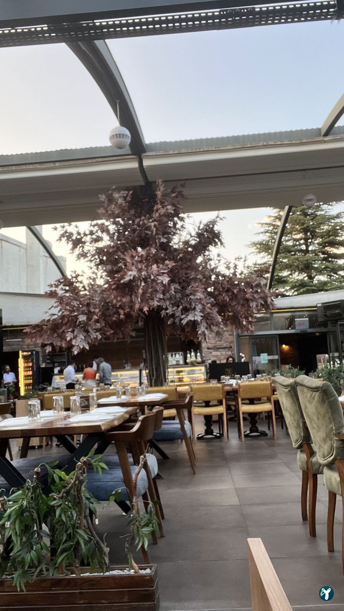 Mazi Restaurant