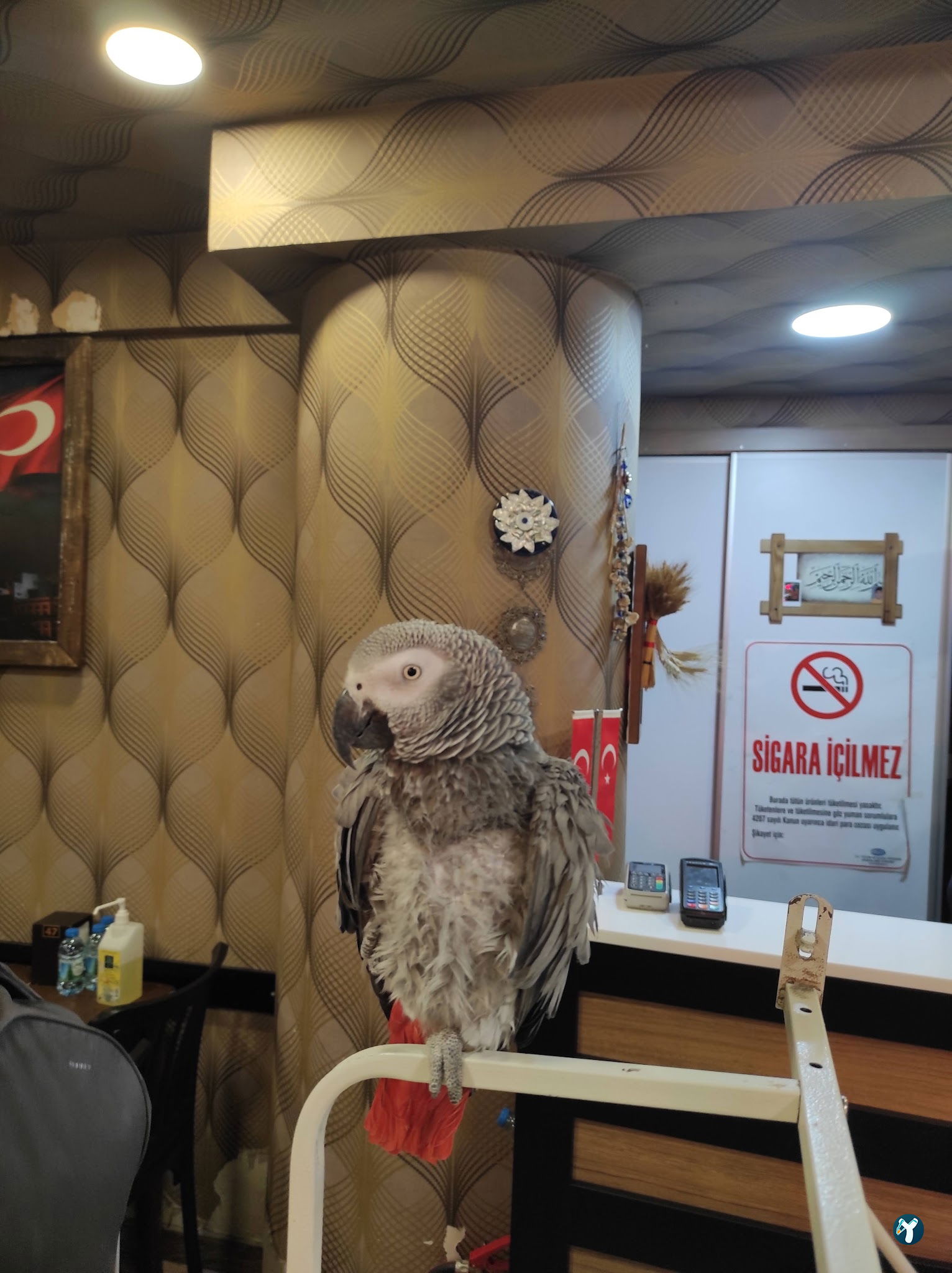 Ciğerci Bahattin - Balgat
