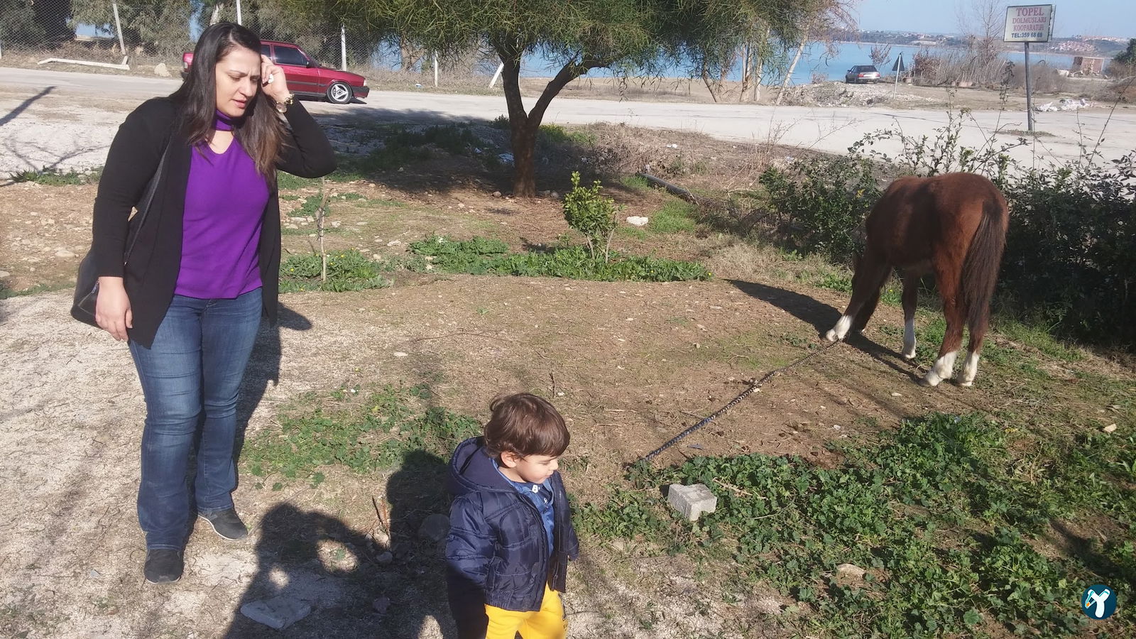 Balıkevi Restaurant