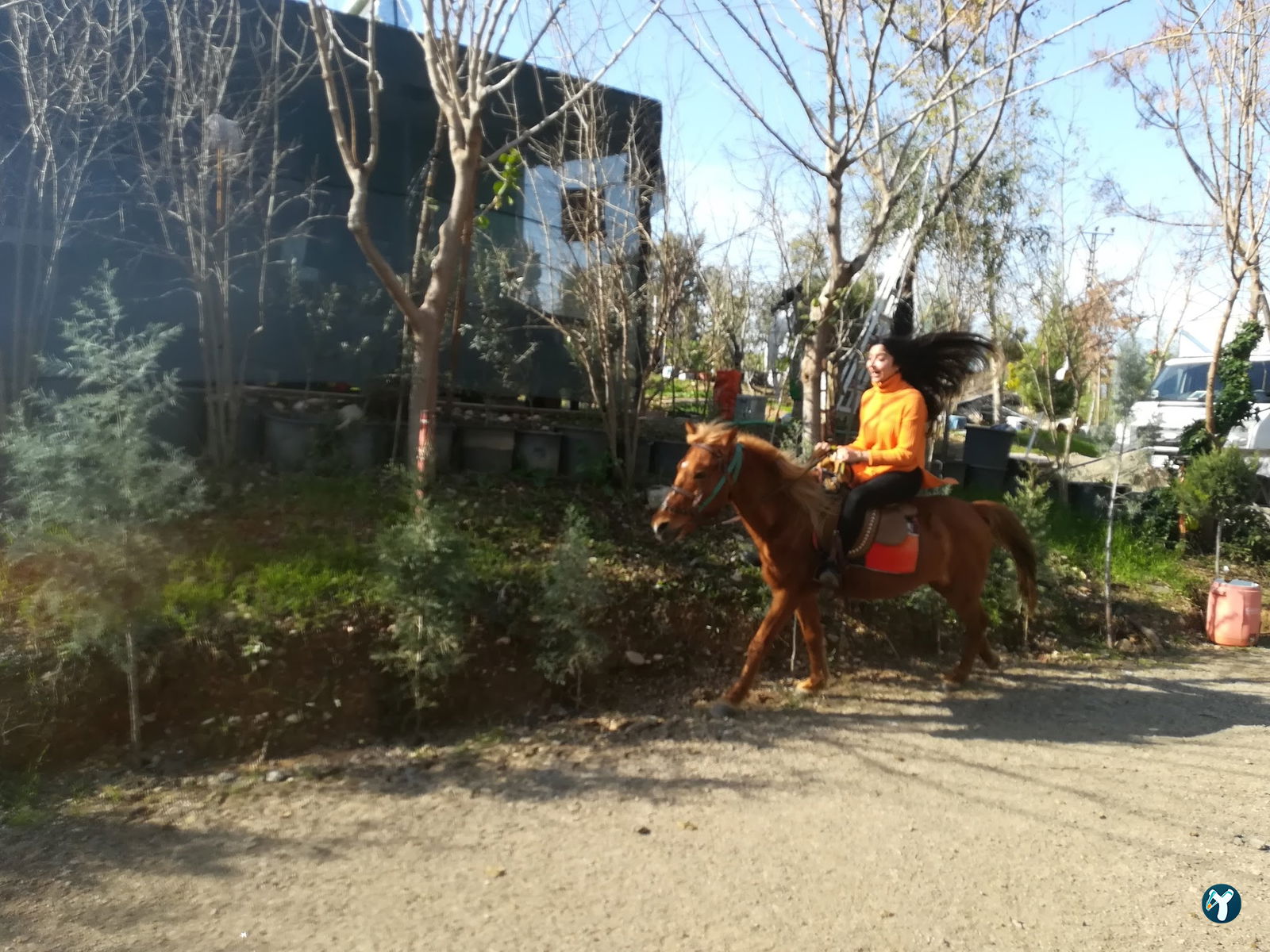 Balıkevi Restaurant
