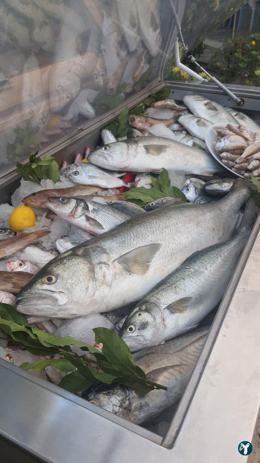 Balıkevi Restaurant