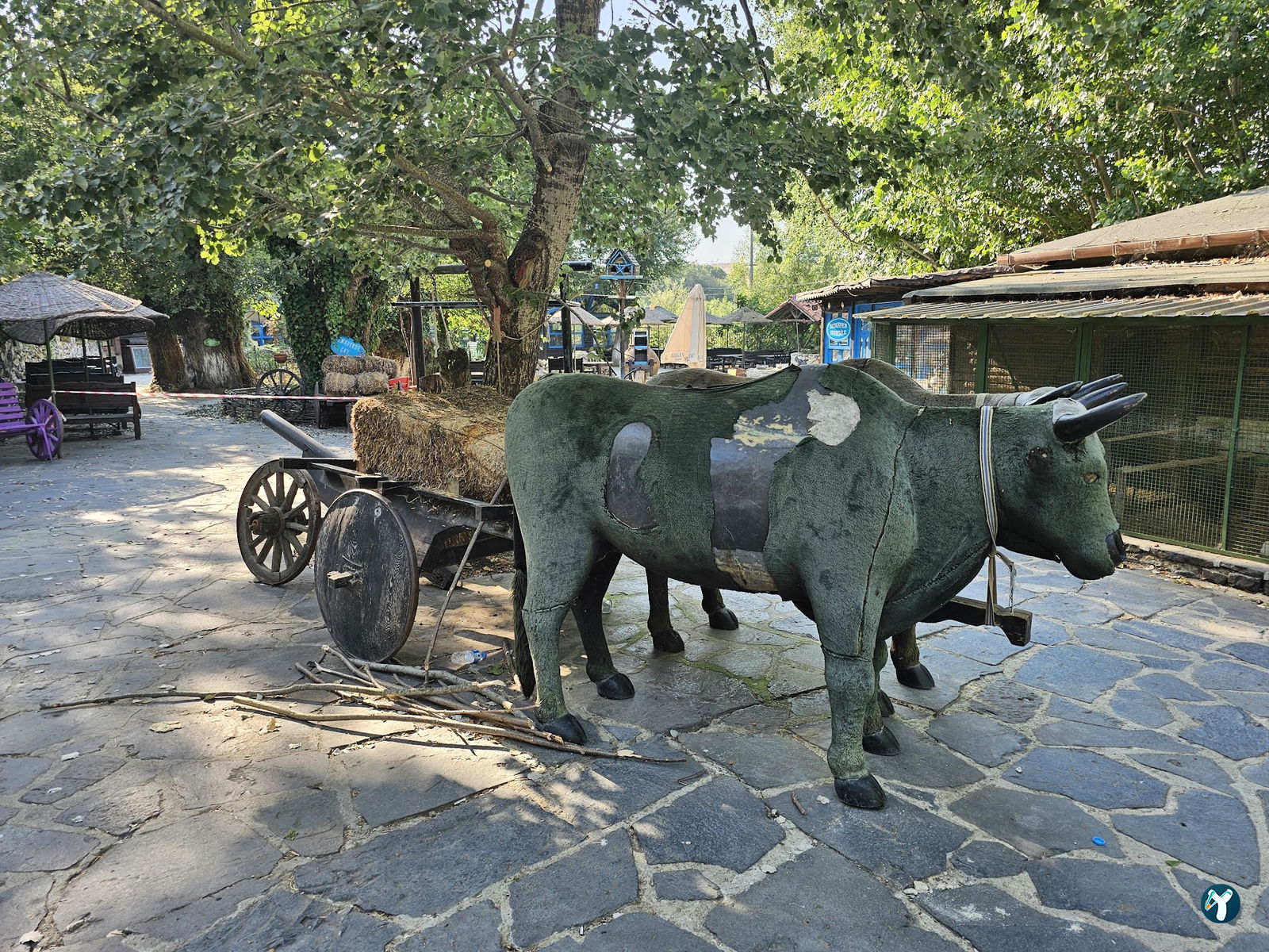 Antik Koy