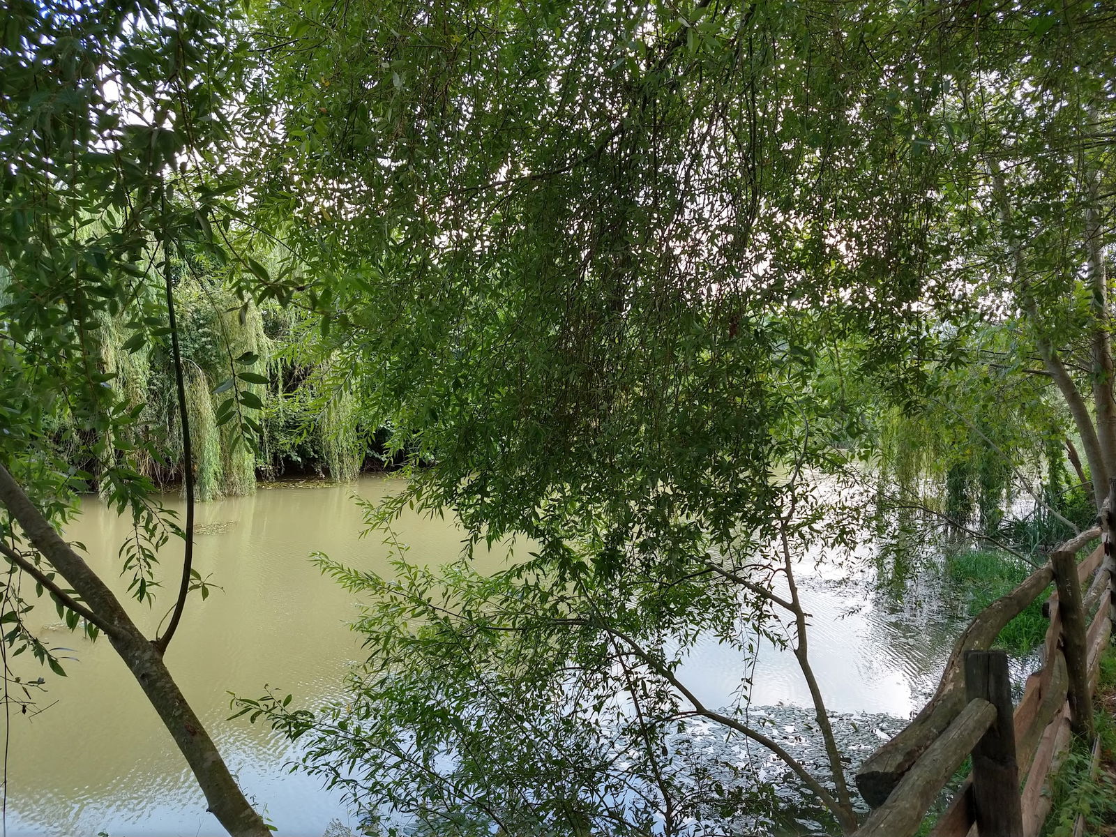 Bizim Köy Sakli Dere