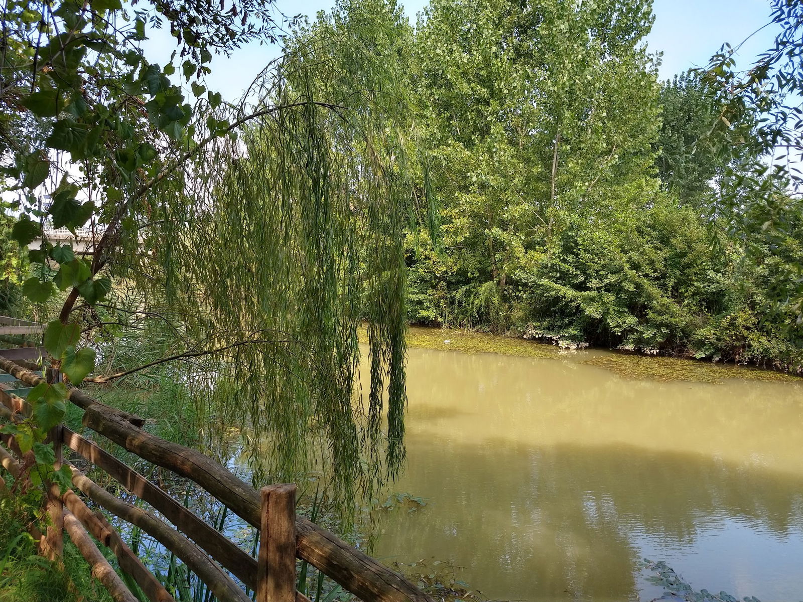 Bizim Köy Sakli Dere