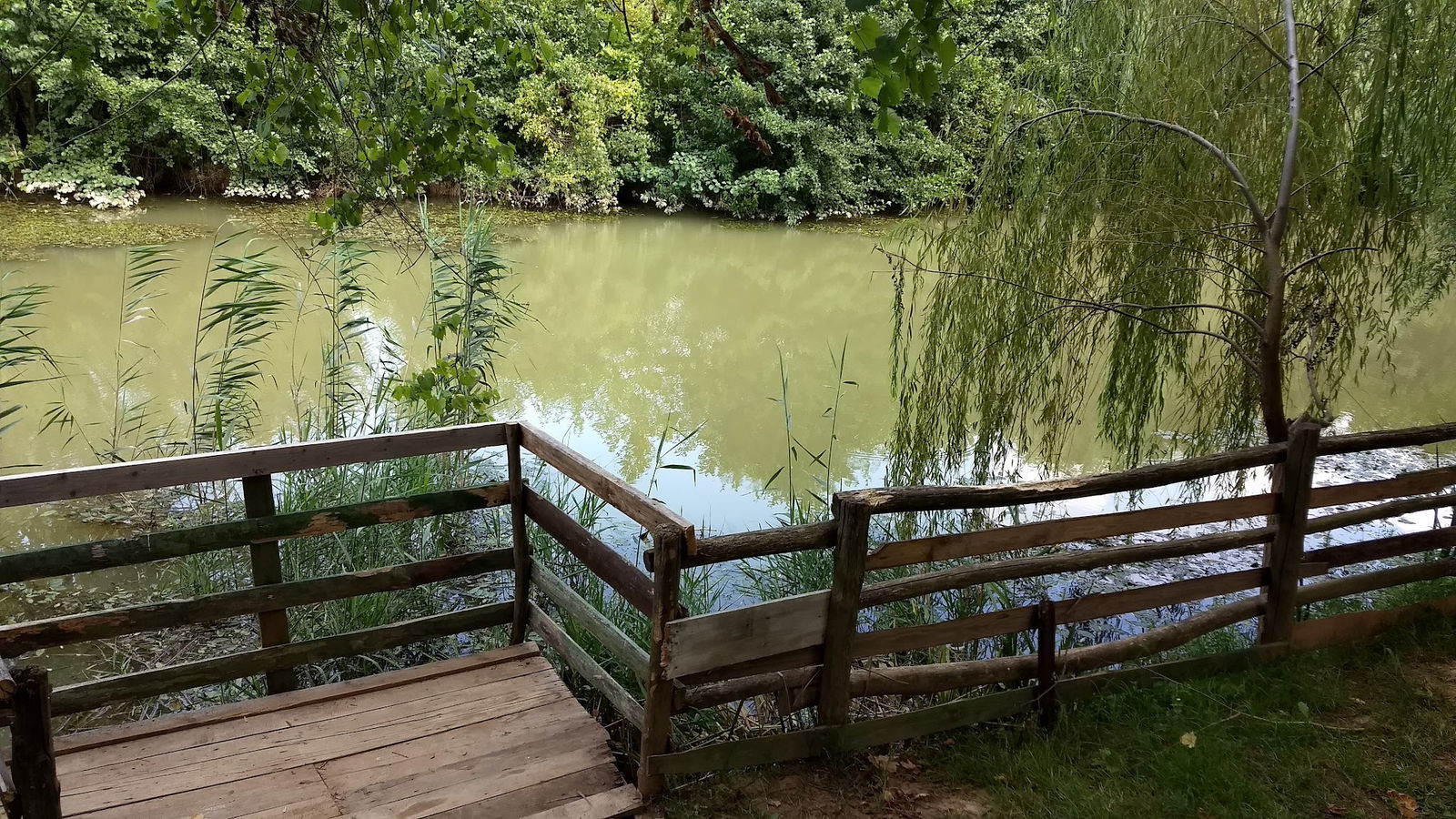 Bizim Köy Sakli Dere