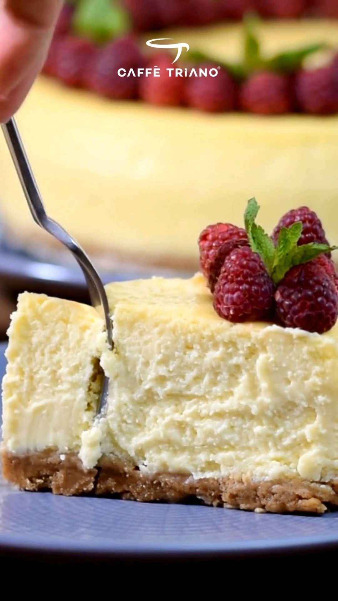 Caffe Triano/Karşıyaka