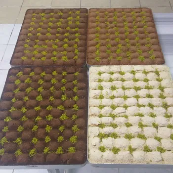 Baklavacı Oğulları Furkan Usta resimleri