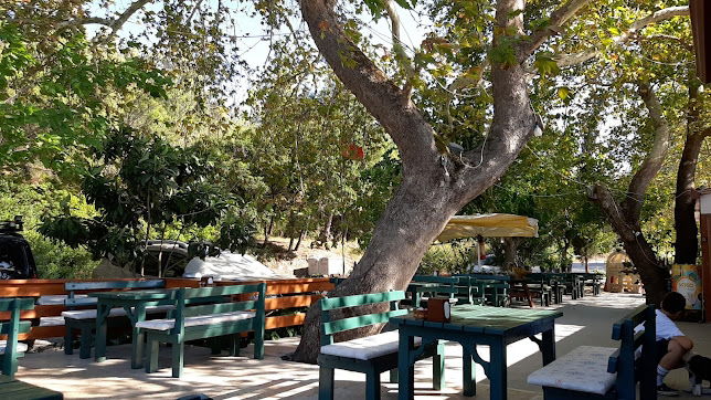 Çınar Altı Restoran