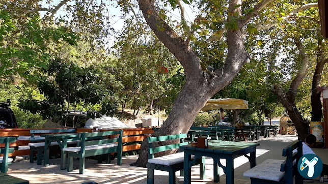 Çınar Altı Restoran