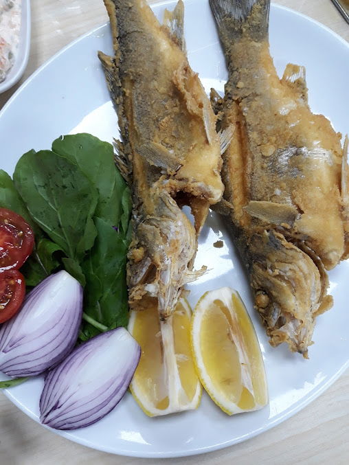 Hazar Balıkçılık