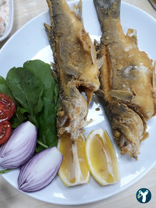 Hazar Balıkçılık