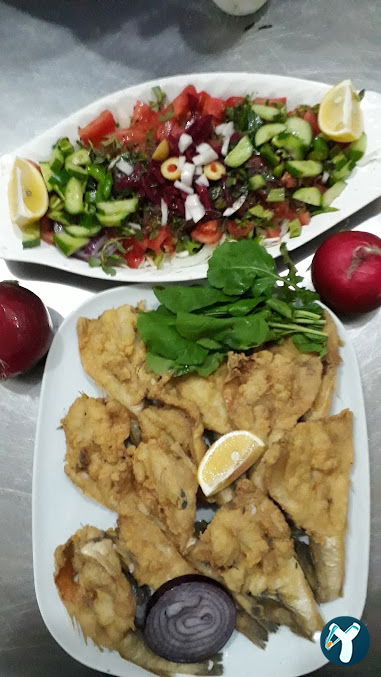 Hazar Balıkçılık