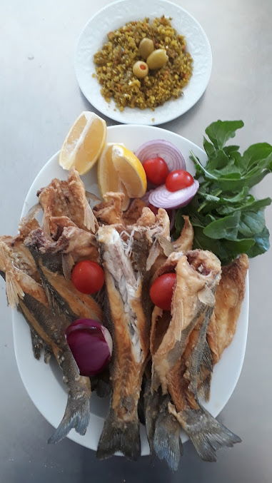 Hazar Balıkçılık