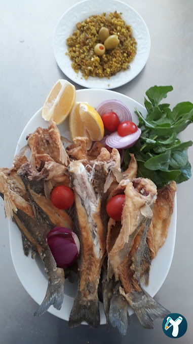 Hazar Balıkçılık