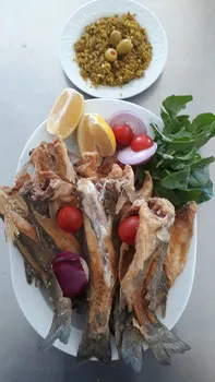 Hazar Balıkçılık resimleri