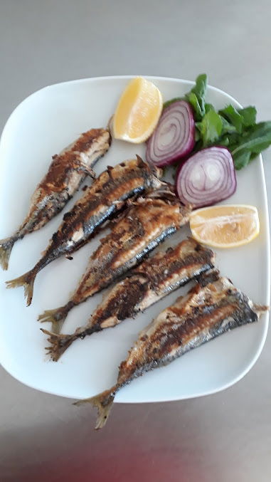 Hazar Balıkçılık