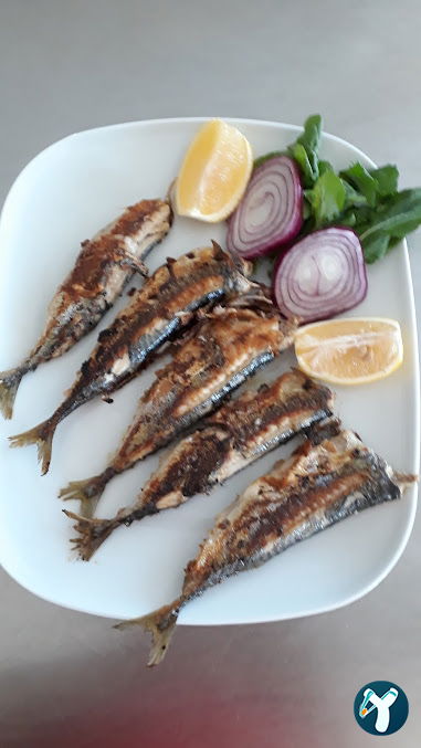 Hazar Balıkçılık