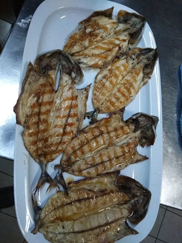 Cibalikapı Balıkçısı Haliç