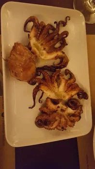 Cibalikapı Balıkçısı Haliç resimleri