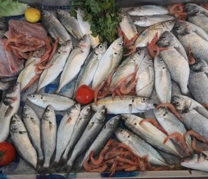 KAĞITHANE BOĞAZ BALIK LOKANTASI resimleri