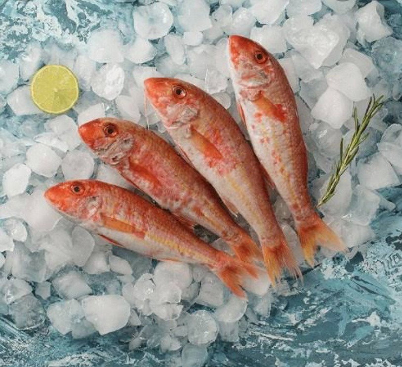 KAĞITHANE BOĞAZ BALIK LOKANTASI