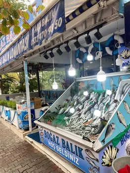 KAĞITHANE BOĞAZ BALIK LOKANTASI resimleri