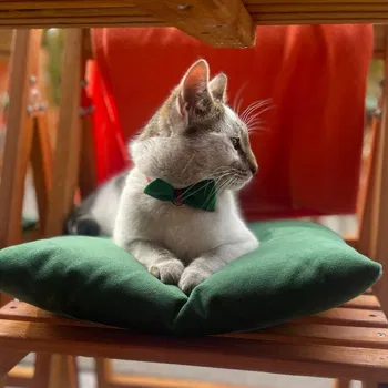 The Sandwich Bar resimleri