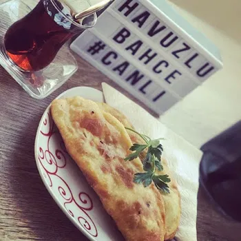 Havuzlu bahçe resimleri