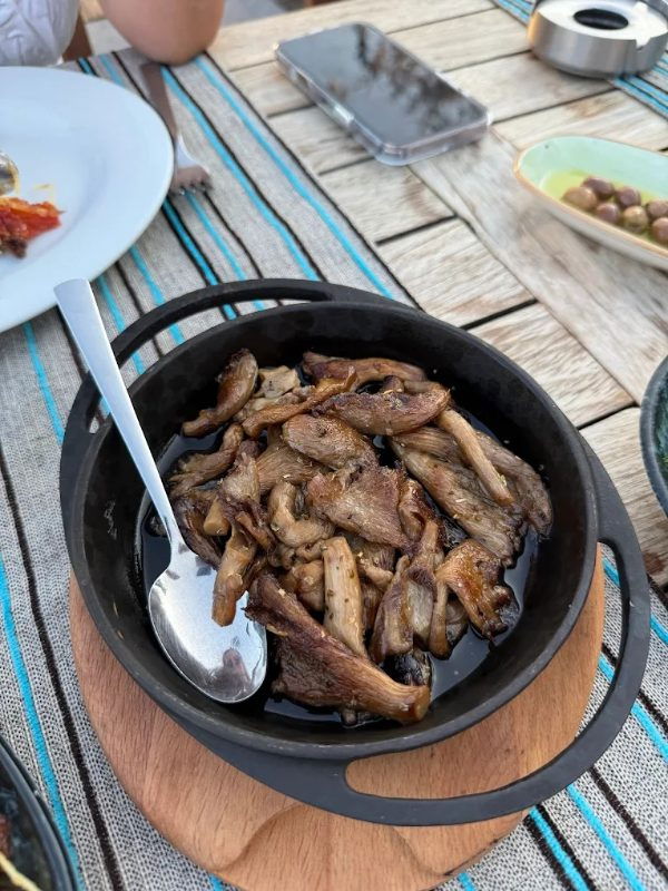 Ferdi Baba Port Alaçatı