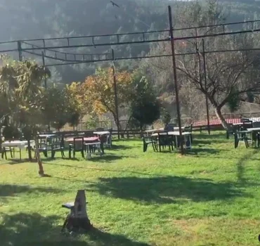 Pia Restaurant resimleri