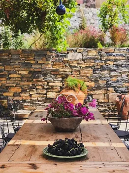 Karnas Vineyards resimleri