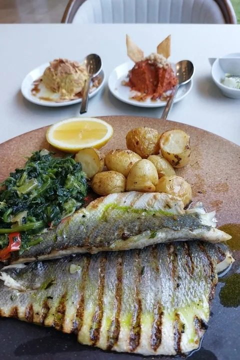 Aquarium Mezzes & Grill