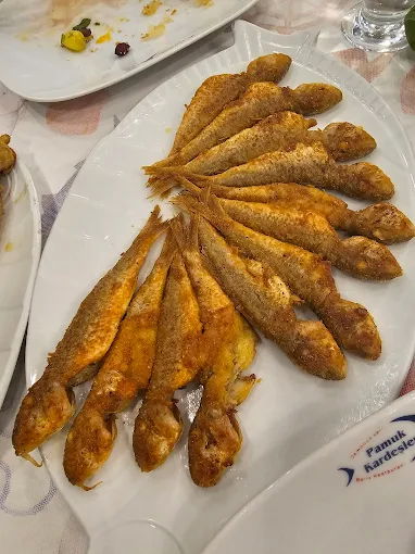 Pamuk Kardeşler Batipark