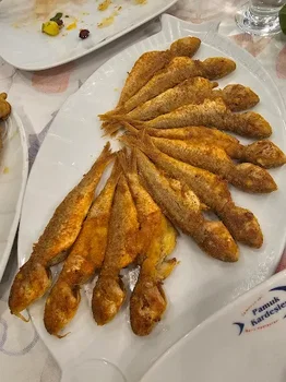 Pamuk Kardeşler Batipark resimleri