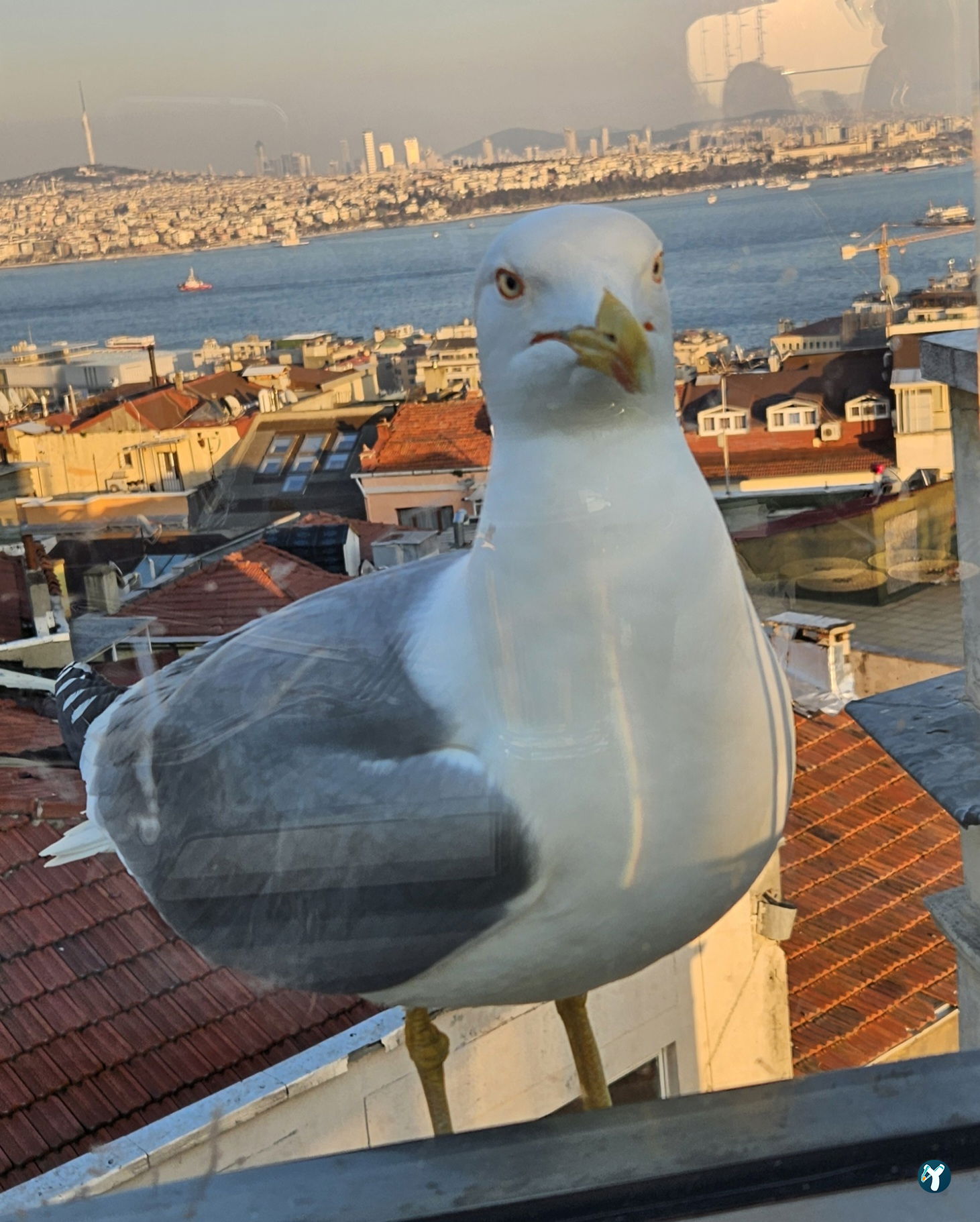 Barnathan İstanbul