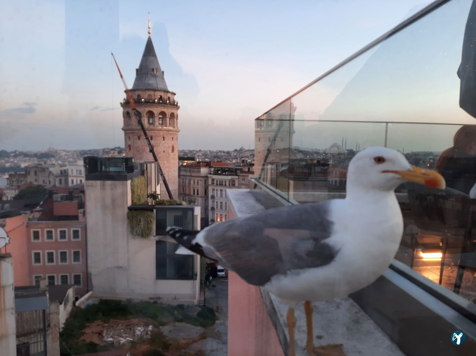 Barnathan İstanbul