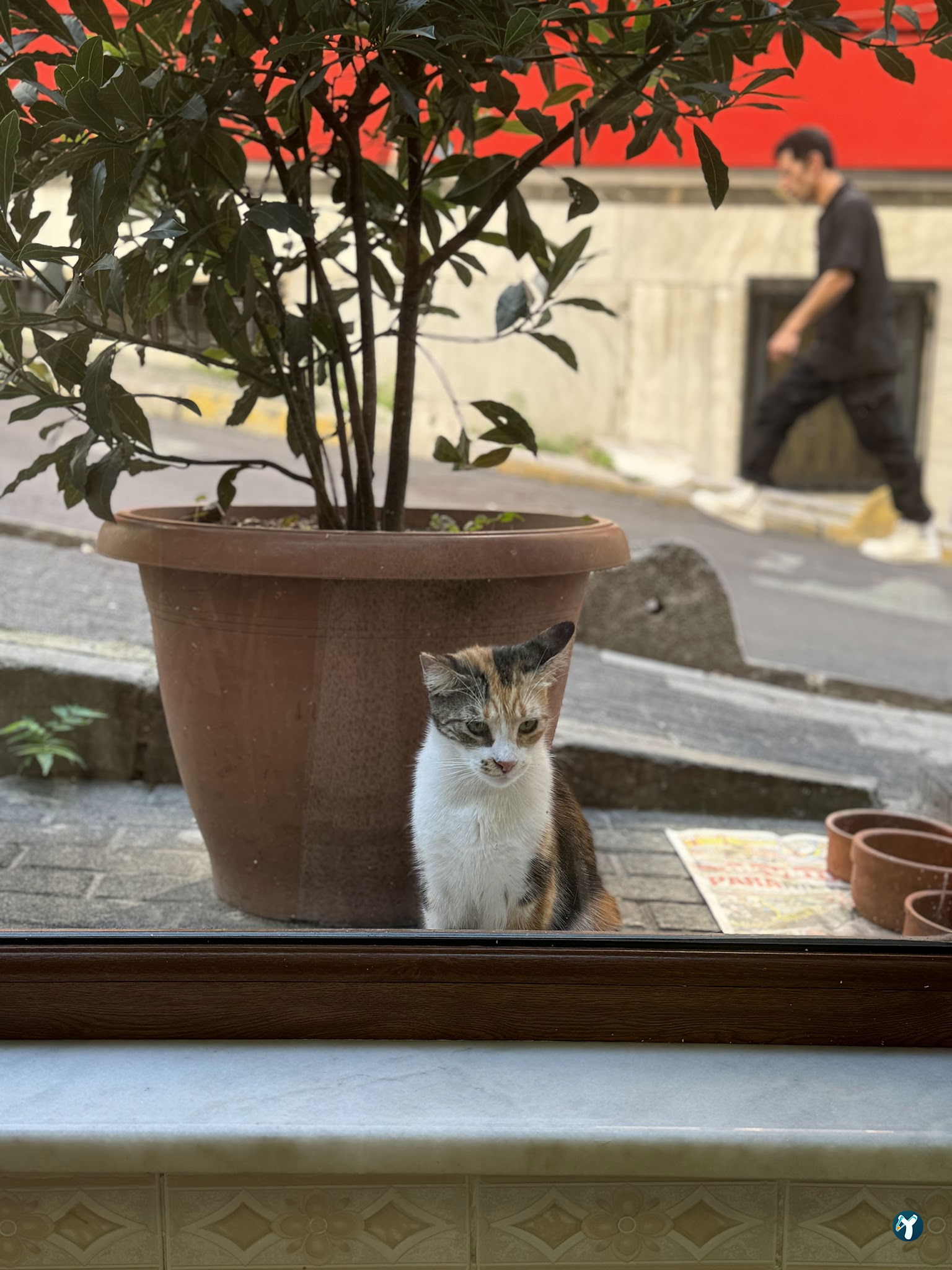 Arzu Restaurant